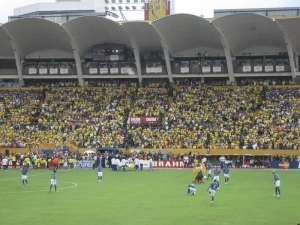 Ecuador Seleccion Hinchada