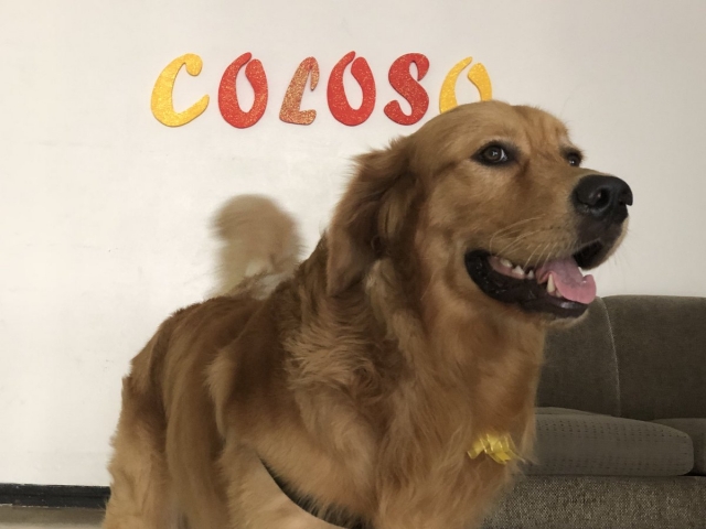 Coloso 3